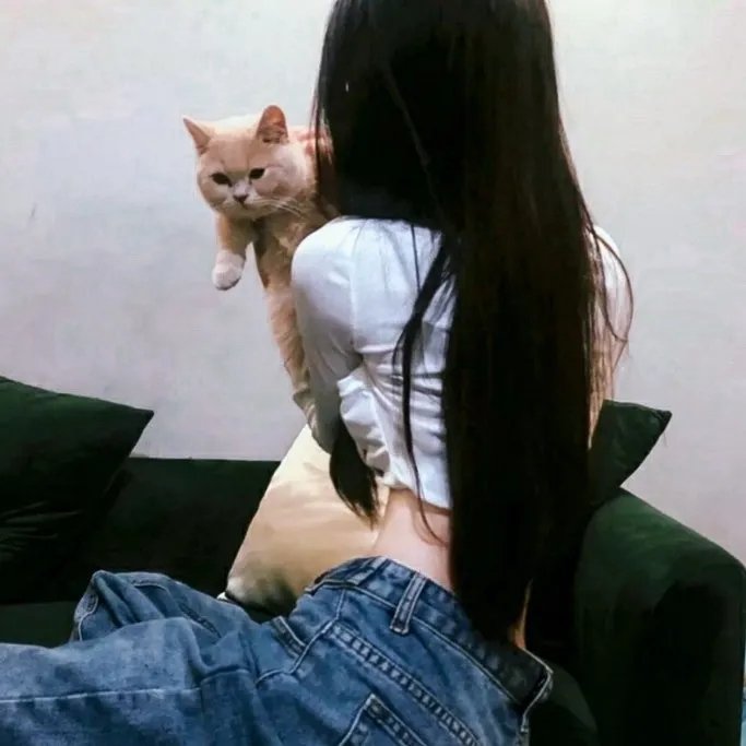 招积老虎